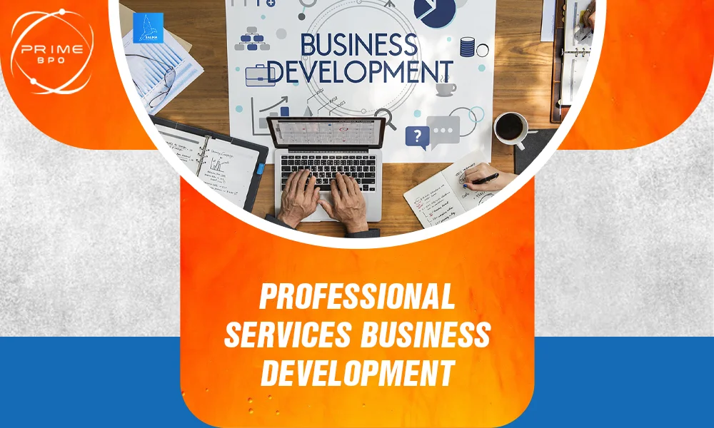 Professional services business development